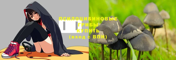 ECSTASY Алексин