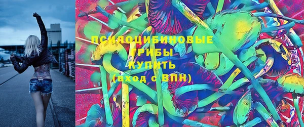 стаф Алексеевка