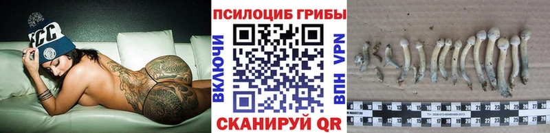 Псилоцибиновые грибы Cubensis  Калтан 